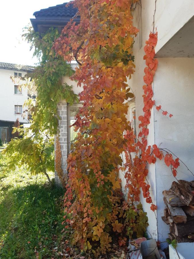 Locanda Rondolost Cencenighe Exterior foto